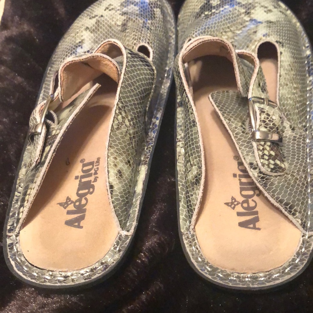 Algeria shoes